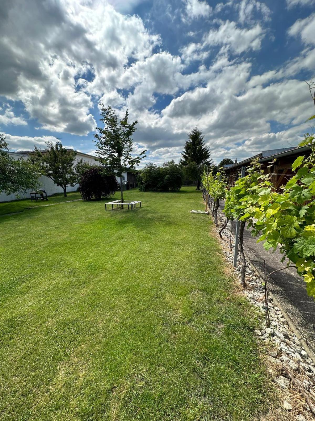 Apartmán Lípa Mikulov Esterno foto