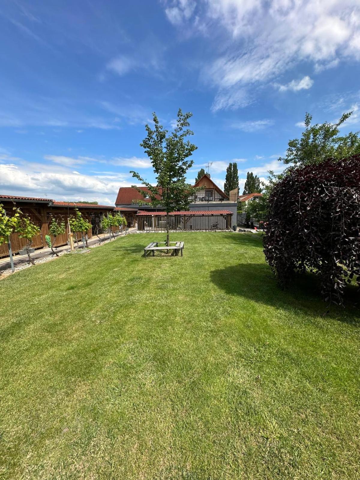 Apartmán Lípa Mikulov Esterno foto