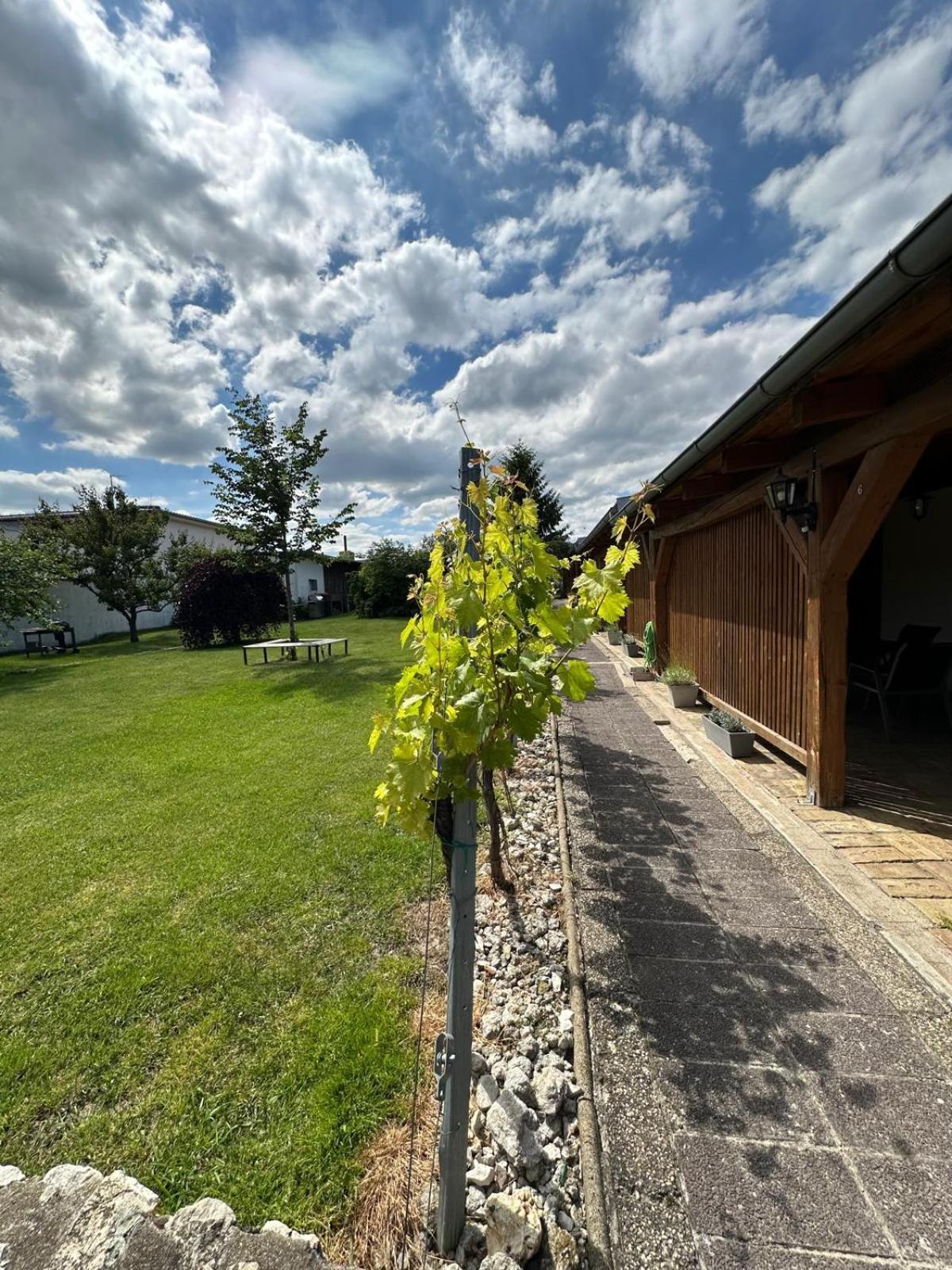 Apartmán Lípa Mikulov Esterno foto