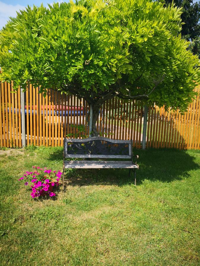 Apartmán Lípa Mikulov Esterno foto